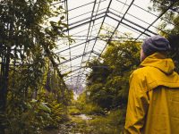 Change is Inevitable