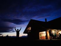 Connections and Engagement: A Friendliness Survey